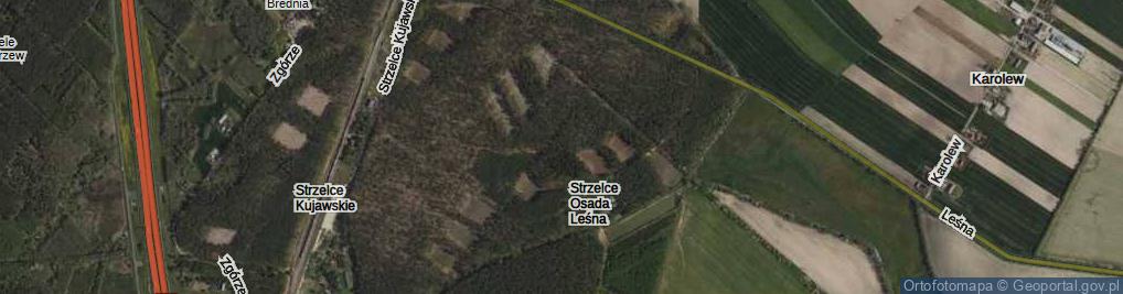 Zdjęcie satelitarne Strzelce Osada Leśna ul.
